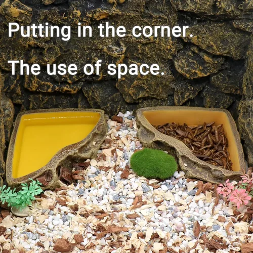 Miniatura 2 de Comedero de reptiles Tazón de resina para anfibios para lagarto Gecko tortuga dragón barbudo