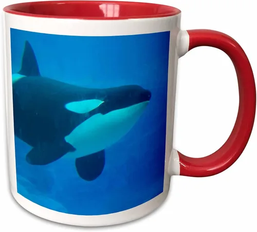 Miniatura 9 de 3dRose Orca Killer Whale - Taza de cerámica azul subacuática, 11 onzas