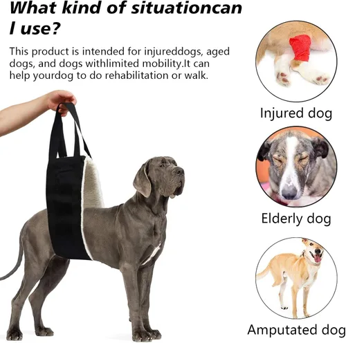 Miniatura 3 de Hevy Duty Arnés portátil de elevación para perros de 20 a 150 libras, arnés de elevación portátil para patas traseras, arnés de cadera para perros