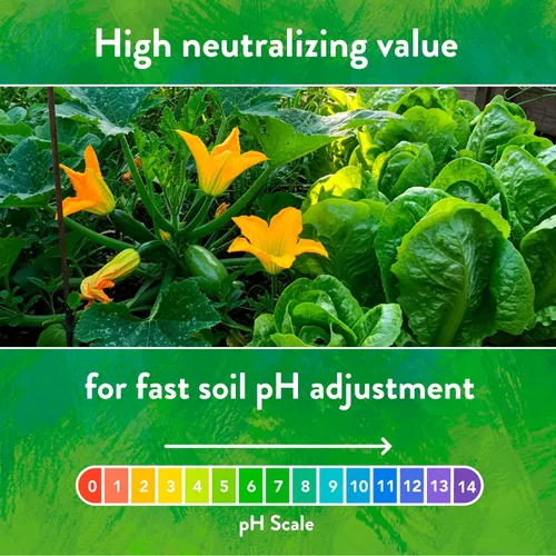 Miniatura 6 de Down To Earth All Natural Fertilizers Solución orgánica Calcio 96 - Polvo de piedra caliza de grado profesional 325 malla para aplicaciones