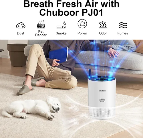Miniatura 2 de Chuboor Purificadores de aire para el hogar habitaciones grandes de hasta 1200 pies cuadrados, purificadores de aire H13 True HEPA para dormitorio