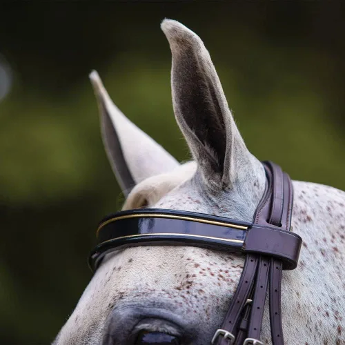 Miniatura 3 de Joseph Sterling Kiesner Comfort Show Bridle para caballos Diseñada por Professional Trainer Corona Comfort Plus para facilidad Bandas