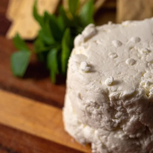 Miniatura 4 de Cultures for Health Cultivo iniciador de queso mesófilo Queso crema, requesón, mozzarella versátil, sin OMG, sin gluten, crea una variedad