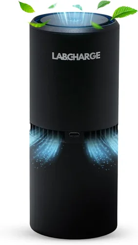 LabCharge - Purificador de aire compacto – Cubre 250 pies cuadrados – Ideal para dormitorio o dormitorio – Filtro HEPA silencioso que captura el