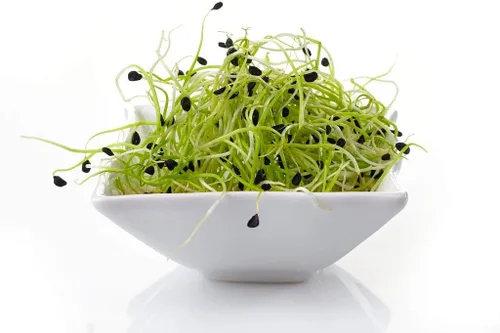 Miniatura 2 de Marca, semillas de cebollino de ajo para germinar microverdes, 4 onzas, un superalimento lleno de antioxidantes y nutrientes que promueven la salud.