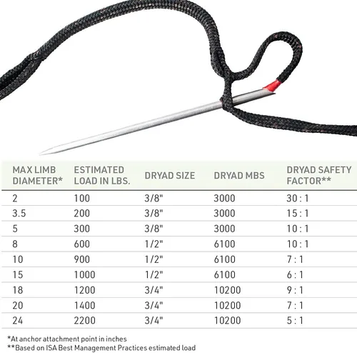 Miniatura 2 de Notch Dryad Dynamic Cabling Cuerda de poliéster 1/2" x 300