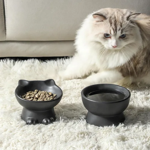 Miniatura 6 de Nihow Cuencos Elevados Inclinados para Gatos: Cuenco Elevado de Cerámica de 5 Pulgadas para Comida de Gato para Proteger la Columna Vertebral