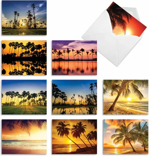 The Best Card Company Juego de 10 tarjetas de agradecimiento surtidas de 4 x 5.12 pulgadas con sobres (10 diseños, 1 cada uno) Palm Beaches M6457TYG