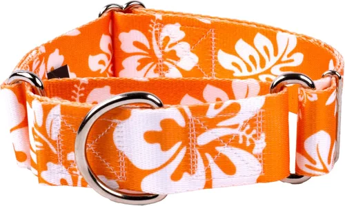 Miniatura 19 de Country Brook Petz HossFit Jr - Collar ancho Martingala para perro, colección Summer Breeze con diseños soleados (Anchors Away, M)