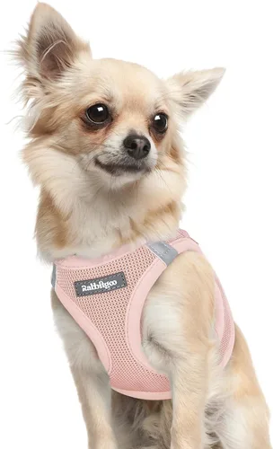 Miniatura 68 de rabbitgoo Arnés para perro pequeño, chaleco de malla suave para cachorros con hebilla de seguridad, arnés reflectante transpirable para mascotas