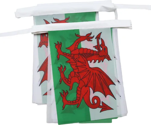 Miniatura 165 de AZ FLAG Señal marítima internacional 42.7 ft BUNTING Flag 40 banderas 9'' x 6'' - Banderas de cuerda del alfabeto náutico 5.9 x 8.3 in