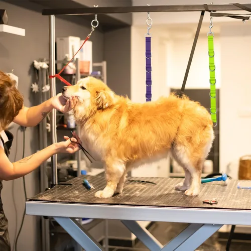 Miniatura 6 de PEUTIER 2 extensores de aseo para perros, de nailon de liberación rápida, correas ajustables para la mesa de aseo de perros, correas de mesa