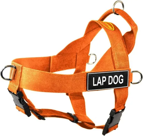 Dean & Tyler DT - Arnés universal para perro sin tirar, con parches para perro, pequeño, color naranja