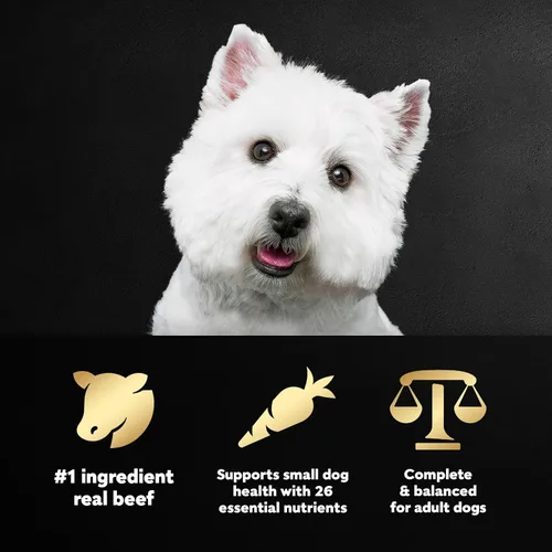 Miniatura 2 de Cesar Alimento seco para perros de raza pequeña para perros pequeños, sabor Porterhouse y guarnición de verduras de primavera, bolsa de 5 libras