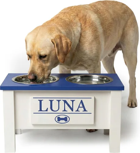 Miniatura 31 de GrooveThis Woodshop Soporte Personalizado de Cuenco Elevado para Perros de Tamaño Grande, Mediano, Pequeño y Extra Pequeño - Cuencos de Acero Negro