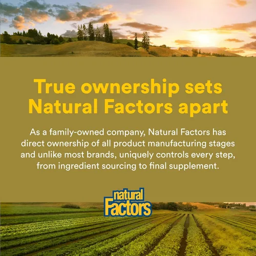 Miniatura 7 de Natural Factors Quercetina LipoMicel Matrix - Apoya la salud inmune y la salud capilar - Suplemento de apoyo antioxidante con quercetina altamente
