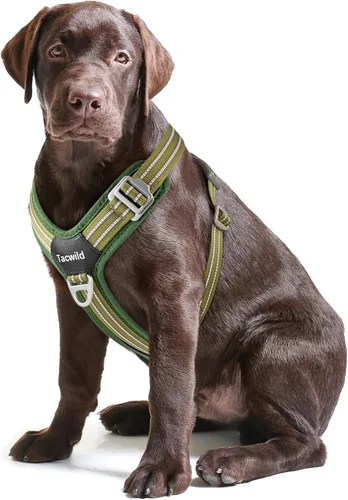 Miniatura 24 de Arnés sin tirones para perro, chaleco reflectante ajustable con broche de metal, malla suave transpirable sin estrangulamiento para cachorro, fácil