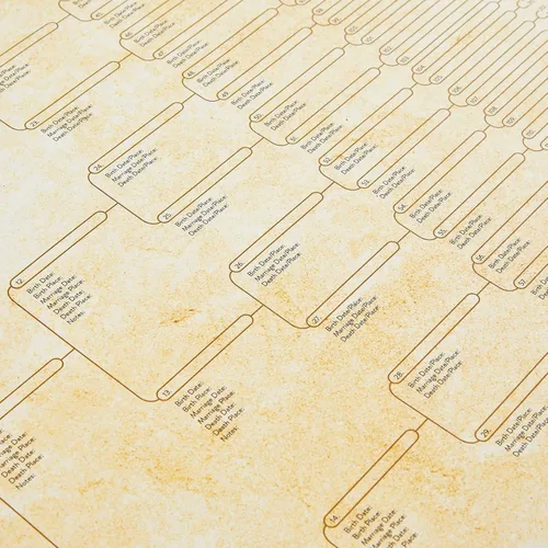 Miniatura 9 de Okuna Outpost Gráficos de árbol genealógico para rellenar – 8 gráficos de genealogía de generación con 255 espacios de nombres – Póster de árbol