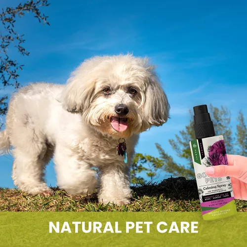 Miniatura 3 de Aerosol calmante holístico natural derivado para la ansiedad para mascotas: proporciona alivio del estrés: recomendado por veterinarios, fabricado
