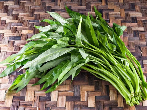 Miniatura 3 de Gaea's Blessing Semillas Ong Choy Seeds - Kong Xin CAI Kangkong - Semillas sin OMG con instrucciones de plantación fáciles de seguir 94% de tasa