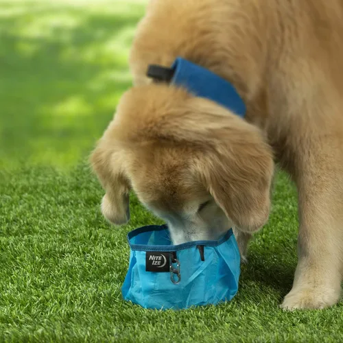 Miniatura 6 de Nite IZE RadDog - Cuenco plegable para perros, cuenco ligero para alimentos y agua