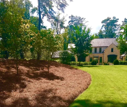 Miniatura 5 de Long Needle Pine Straw Mulch – Cobertura de 3200 pies cuadrados, 1 juego – Paja de pino cosechada en Estados Unidos de primera calidad