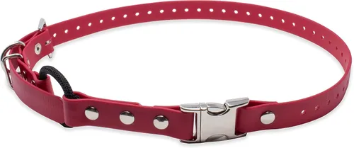 Miniatura 9 de Collar para perro Educator con cierre rápido y correa elástica, Biothane, impermeable y resistente al olor, fácil de conectar y desconectar
