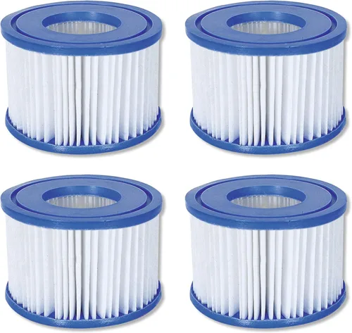 Bestway 90352E-BW - Cartuchos de repuesto para bomba de filtro ligero tipo VI para balnearios inflables SaluSpa (paquete de 4)
