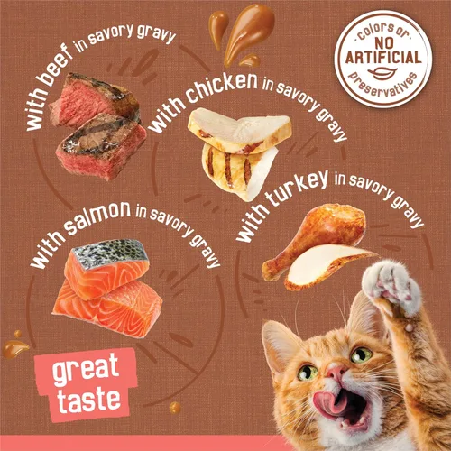Miniatura 5 de Purina Friskies - Alimento húmedo extra en salsa para gatos, paquete variado de 24 unidades (con pollo, pavo, salmón, carne de res) (paquete de 24)