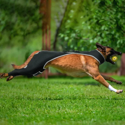 Miniatura 10 de Codera para perro y pierna delantera para perro para dejar de lamer, protector de codo de perro y coderas de higroma para perros, mangas