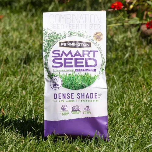Miniatura 13 de Pennington Smart Seed - Mezcla de semillas para césped denso, 3 libras