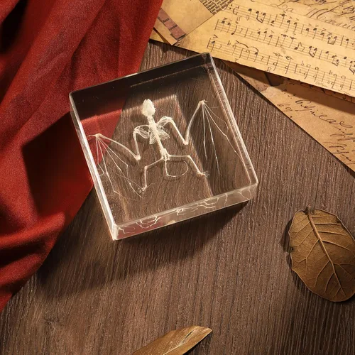Miniatura 6 de Espécimen de esqueleto de murciélago real en resina para educación científica en el aula, gran regalo para fanáticos de la taxidermia, cráneo