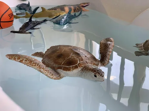 Miniatura 4 de Gemini&Genius Juguetes de Tortugas Marinas Figura de Acción de Animales Marinos, Juguete de Plástico de Tortuga Marina, Ideal para Baño de Niños