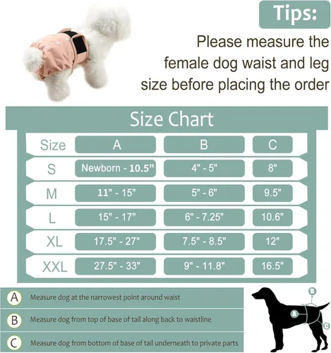 Miniatura 3 de Pañales lavables para perros, para hembras caninas, reutilizables, para periodo de celo, altamente absorbentes, para incontinencia, con broches