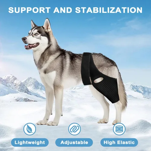 Dog Hip Brace，Adjustable Dog Knee Brace for ACL, CCL, Hip Dysplasia & Ligament Injuries, Fits Small, Medium & Large Dogs, Pain Relief & Stability