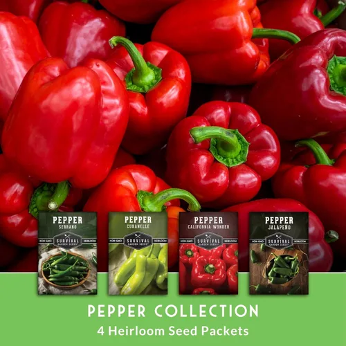 Miniatura 3 de 4 Colección de semillas de pimiento Jalapeño, Serrano, Cubanelle y California Wonder Semillas de pimientos picantes y dulces autóctonas sin