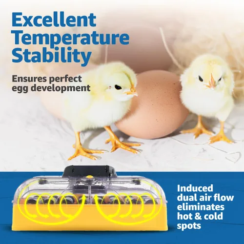 Miniatura 6 de Brinsea Ovation 28 EX Incubadora para incubar huevos con control automático de humedad - Incubadora de huevos de pollo totalmente automática