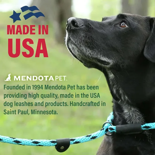 Miniatura 3 de Mendota - Correa deslizante para mascotas, combo de correa y collar para perro, fabricado en los Estados Unidos, zafiro, 1/2 pulgadas x 6 pies