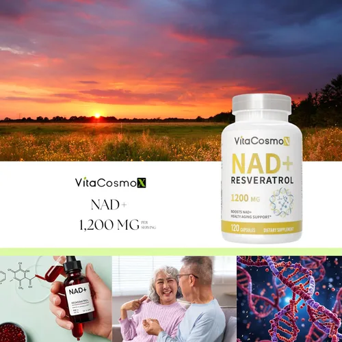 Miniatura 5 de Suplemento NAD+ 1,200 mg por porción, 120 cápsulas (dinucleótido de nicotinamida y adenina) - 60 porciones, sin gluten, vegano