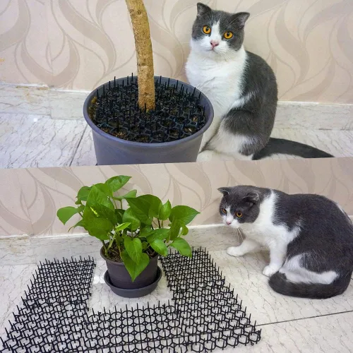 Miniatura 2 de Ley's Paquete de 12 alfombrillas disuasorias para gatos, 6 x 8 pulgadas, con púas, mantiene a los gatos alejados de las plantas, muebles