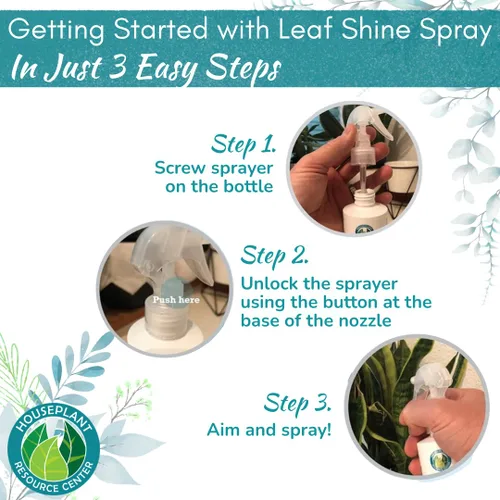 Miniatura 6 de Houseplant Leaf Shine Spray – Limpiador de hojas totalmente natural y brillo para un brillo saludable y una mejor fotosíntesis Perfecto