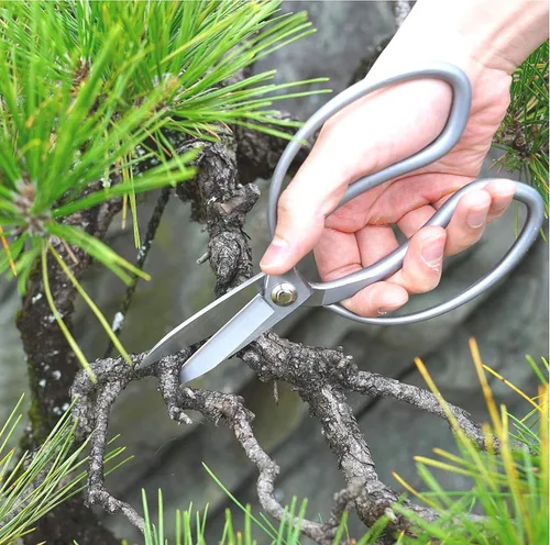 Miniatura 2 de KAKURI Tijeras de bonsái de hoja larga fabricadas en Japón de 8 pulgadas, hoja japonesa de acero inoxidable, tijeras grandes Okubo