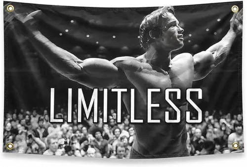 Bandera de poliéster Schwarzenegger de 3 x 5 pies – Decoración inspiradora de pared de oficina gimnasio bandera de una cara con 4 ojales de latón –