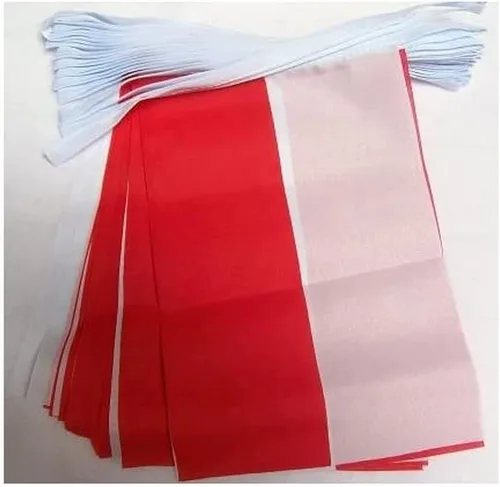 Miniatura 9 de AZ FLAG Señal marítima internacional 42.7 ft BUNTING Flag 40 banderas 9'' x 6'' - Banderas de cuerda del alfabeto náutico 5.9 x 8.3 in