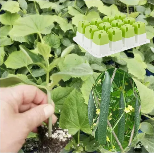 Miniatura 6 de 5 bandejas de inicio de semillas, iniciador de semillas de silicona con células emergentes (60 células en total), bandejas de cultivo de plantas