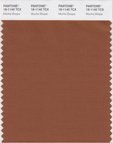 Miniatura 18 de PANTONE Tarjeta de muestra de color inteligente 18-1314X, bellota
