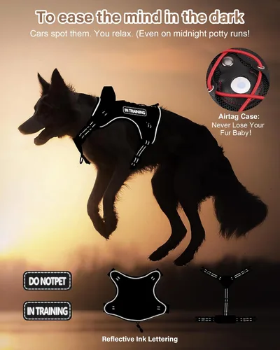 Miniatura 6 de PETNANNY Arnés táctico para perros