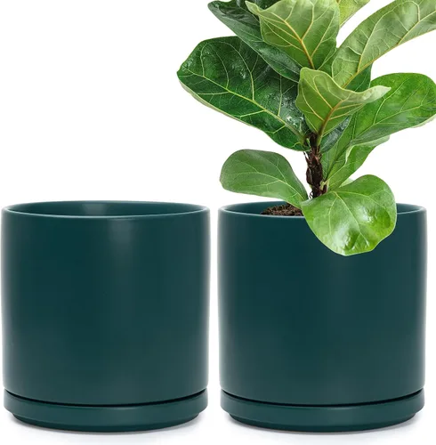 Miniatura 18 de D'vine Dev - Juego de 2 macetas de plantas de 3.5 pulgadas, maceta de cerámica para plantas con agujero de drenaje y platillo, negra, 94-V-A-2