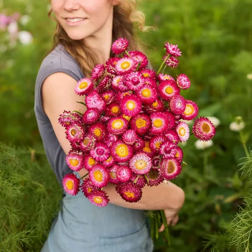 Miniatura 6 de Eden Brothers Semillas de fresa - Rosa brillante