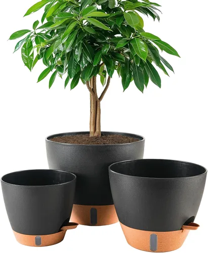 Miniatura 19 de Paquete de 2 macetas de 8 pulgadas para plantas de interior, macetas de plástico con orificios de drenaje, indicador de nivel de agua y depósito